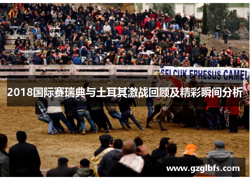 2018国际赛瑞典与土耳其激战回顾及精彩瞬间分析